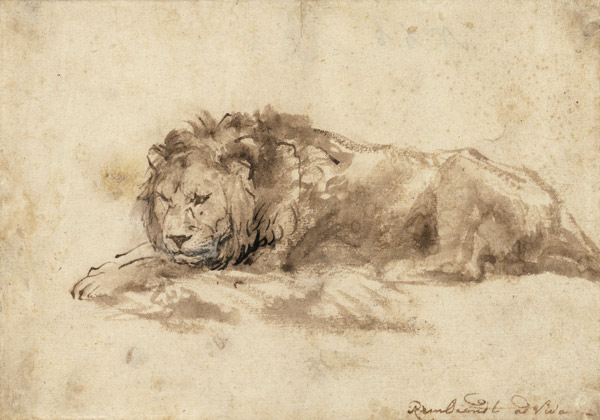  from Rembrandt van Rijn