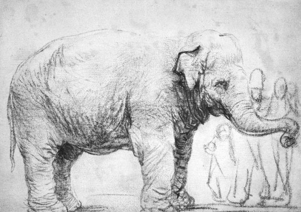 Ein Elefant from Rembrandt van Rijn