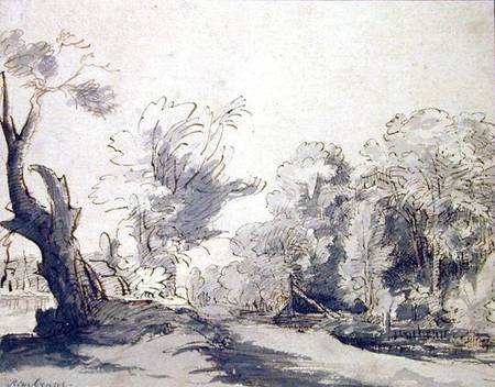 Landscape (pen and ink and wash on paper) from Rembrandt van Rijn