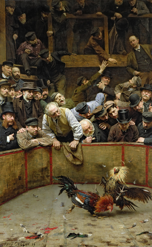 The Cockfight, 1889 (oil on canvas) from Rémy Cogghe