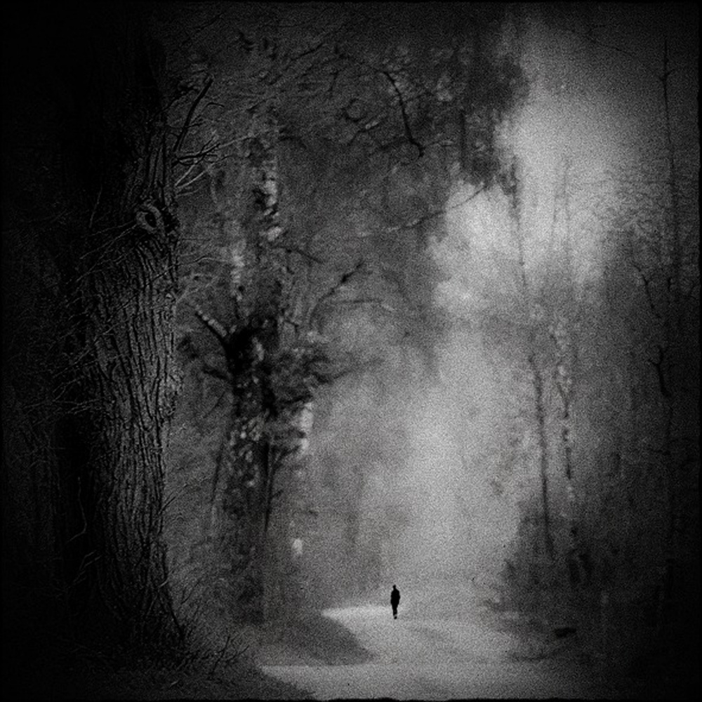 die Einsamkeit im Wald from Renate Wasinger
