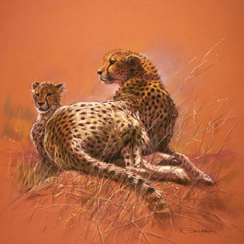 Cheetah Mother from Renato Casaro