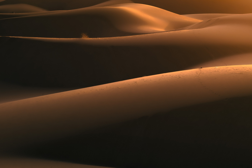 Licht in der Wüste from Reza Mohammadi