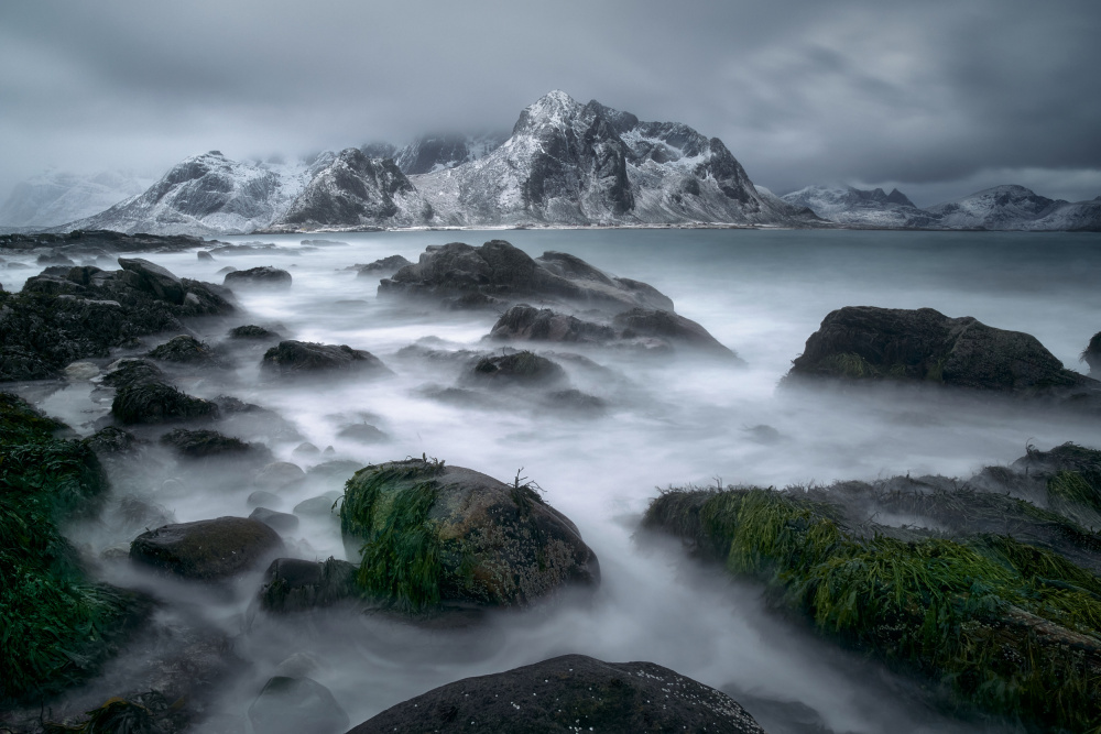 Arktis from Ricardo Gayan