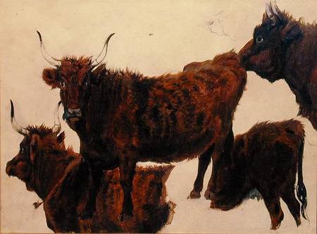 Studies of Highland Cattle from Richard Ansdell