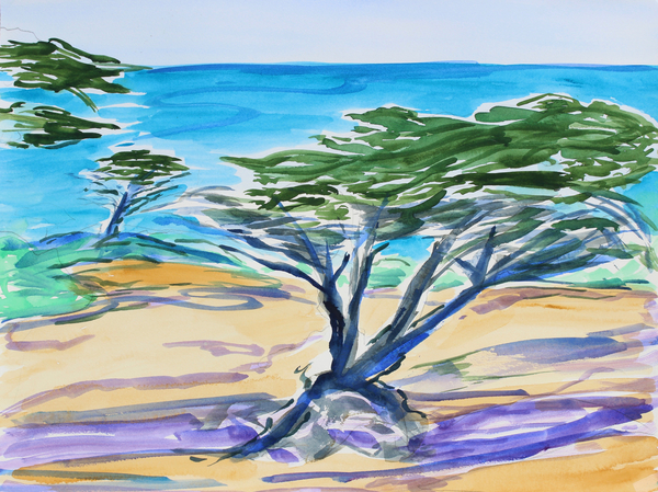 Cypress Tree, Carmel Bay from Richard Fox