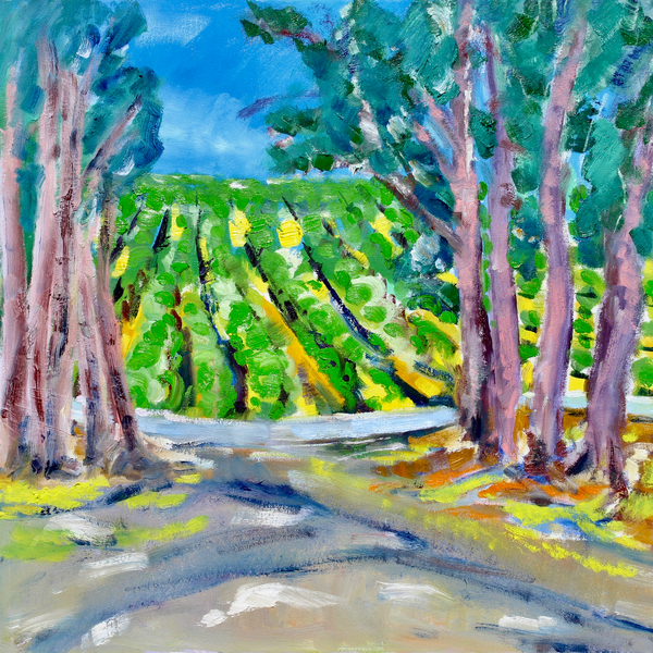Vineyard Beyond the Trees from Richard Fox