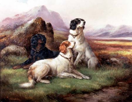 Setters in a Highland Landscape from Robert Cleminson