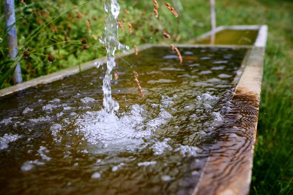 Frisches sprudelndes Wasser in einem kleinen Holzbrunnen auf der Alm  from Robert Kalb