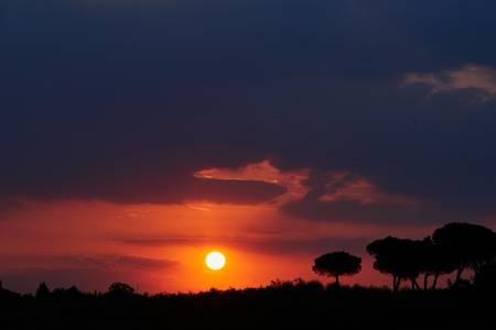 Sonnenaufgang über eine Umbrische Landschaft mit Pinien