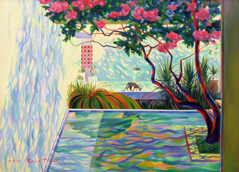 Cat in a Mexican Garden from Robert  Tyndall