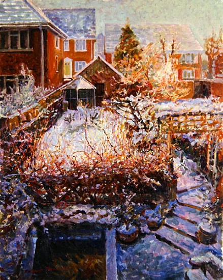 Sussex Garden in Winter  from Robert  Tyndall