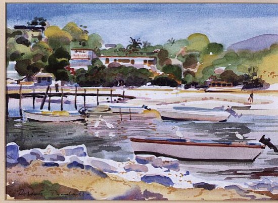 The Creek, Zhatanejo, Mexico  from Robert  Tyndall