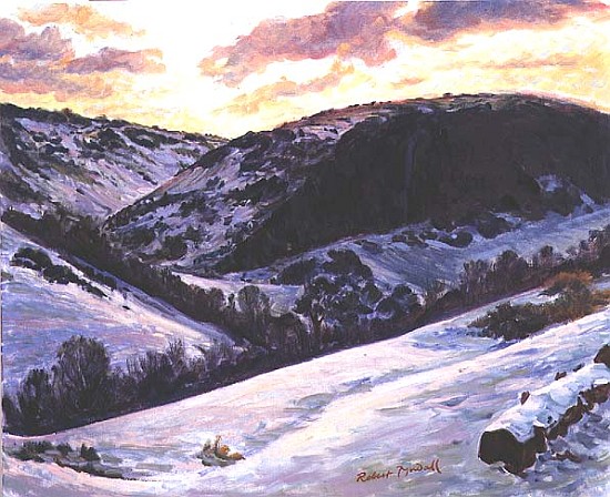 The Devil''s Dyke in Winter, 1996  from Robert  Tyndall
