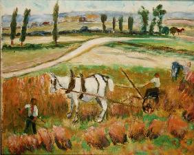 Harvesting with a White Horse (oil on board) 