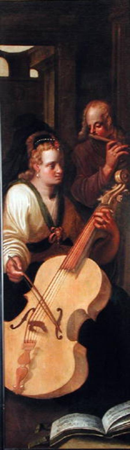 Cellist from Roelof van Zyll