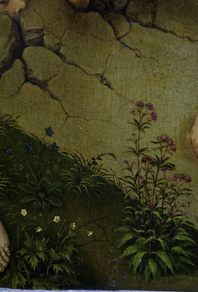 R.v.d. Weyden, Plants and flowers from Rogier van der Weyden