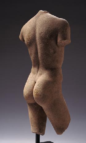 Rear view of a Naked Youth