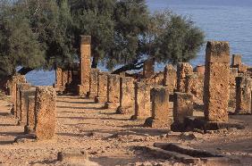 View of the Cardo (photo) 