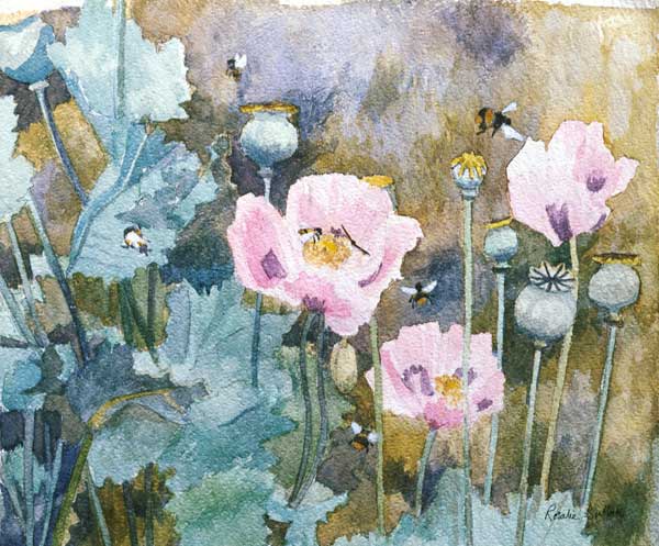 Pink poppies with bees (w/c)  from Rosalie  Bullock