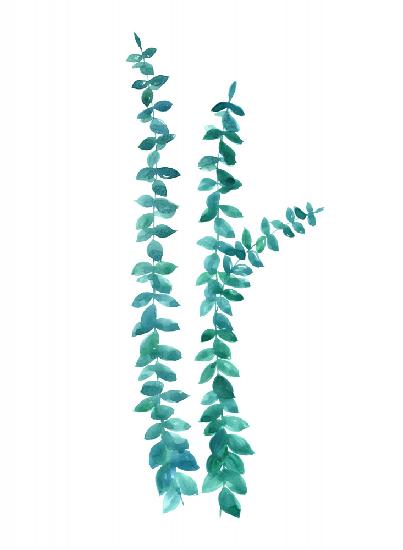 Aquarell-Eukalyptuszweige in Blaugrün