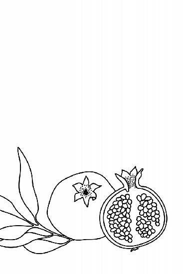 Granatapfel-Strichzeichnung