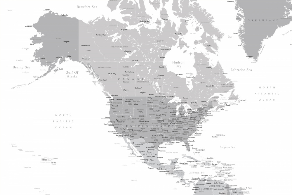 Graue Karte von Nordamerika mit Städten from Rosana Laiz Blursbyai