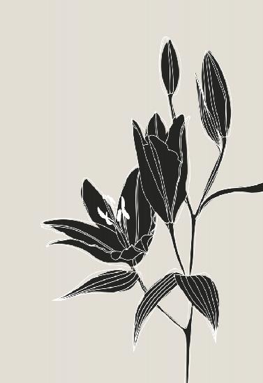 Line-Art-Lilien in Schwarz