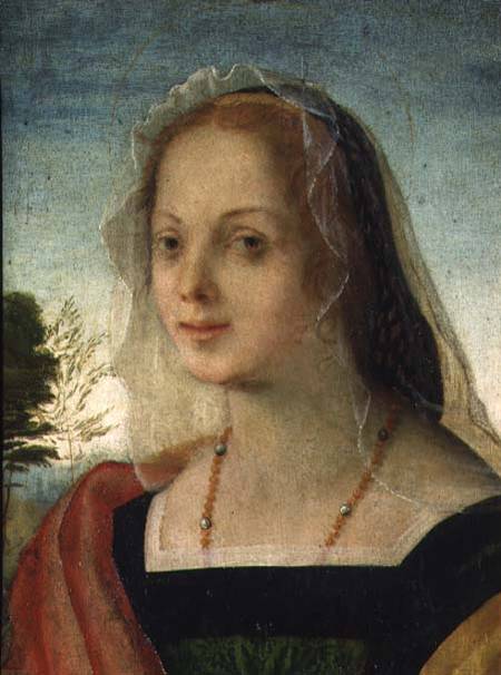 Portrait of a Young Girl from Rosso Fiorentino