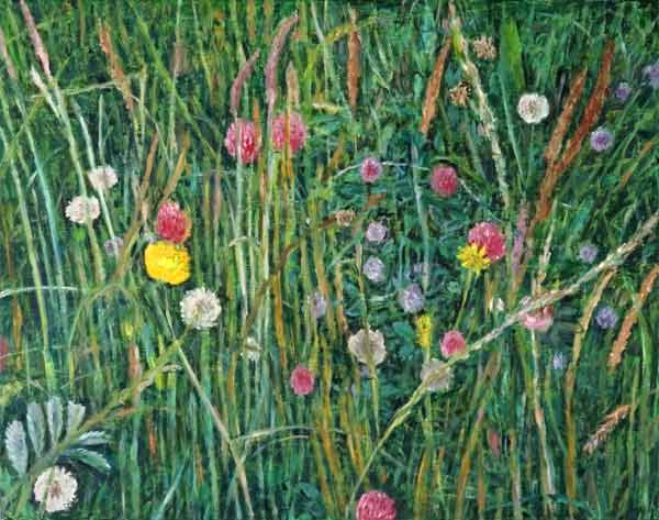 Plants of the Machair, 2008 (oil on canvas)  from Ruth  Addinall