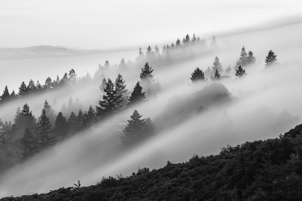 Fließender Nebel from Ryan Li