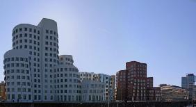 Gehry Panorama