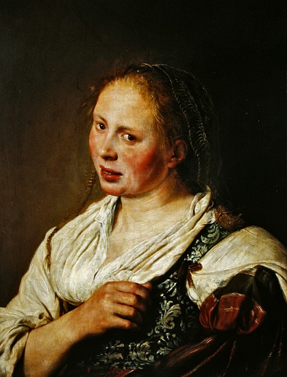 Painting of the young peasant from Salomon de Bray