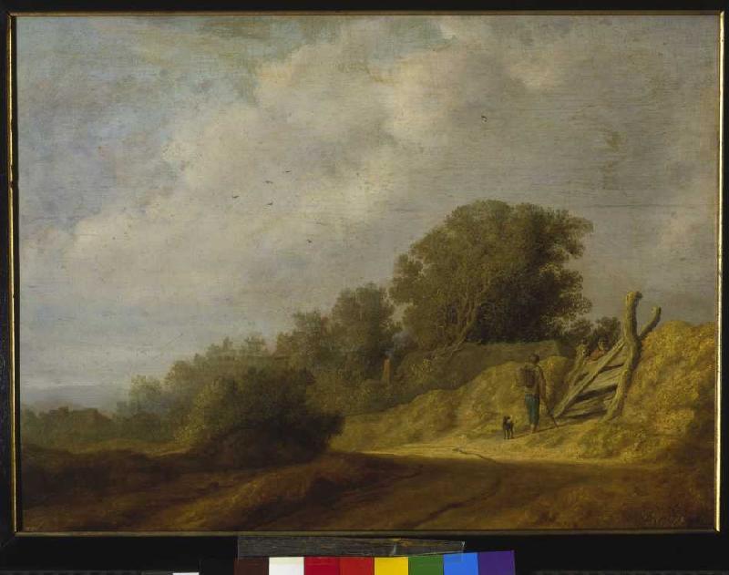Landschaft mit Weg from Salomon van Ruysdael