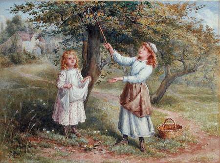 Picking Apples from Samuel McCloy