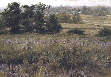The Furze Field from Samuel Palmer