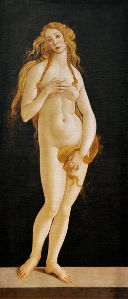 Botticelli (Workshop), Birth of Venus