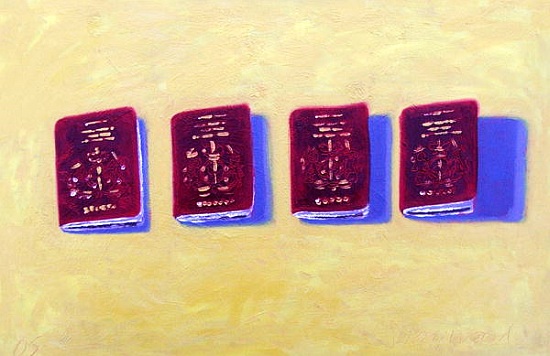 Four Passports from Sara  Hayward