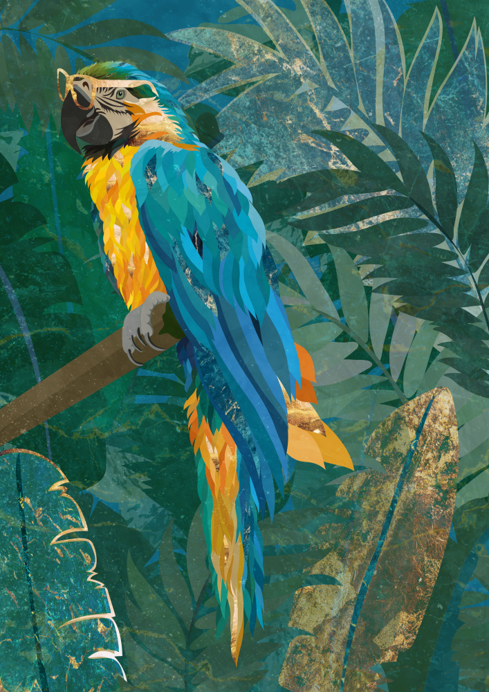 Blauer Papagei im Regenwald from Sarah Manovski