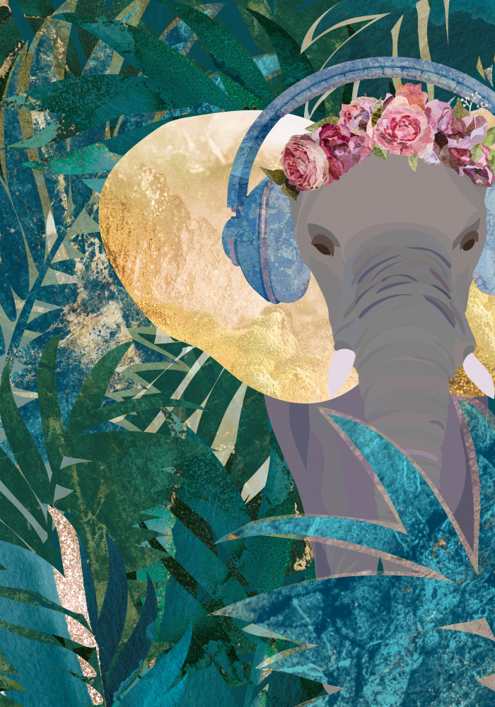 Elefant hört Musik from Sarah Manovski