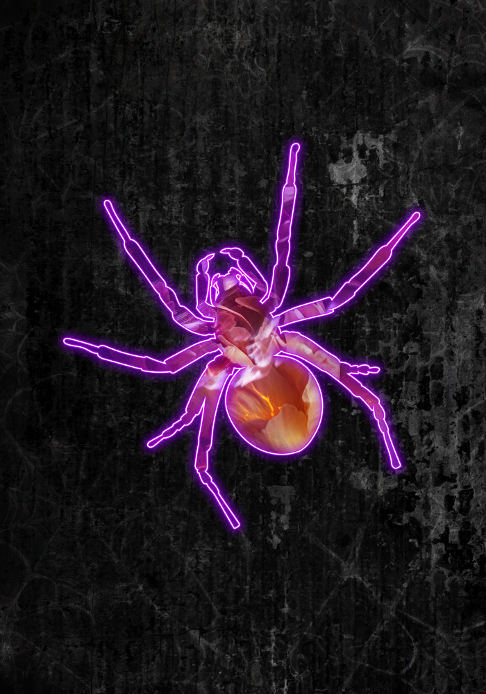 Neon-Halloween-Spinne from Sarah Manovski