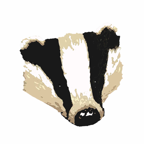 badger from Sarah Thompson-Engels