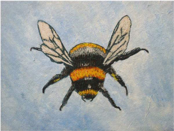 Bumble bee from Sarah Thompson-Engels