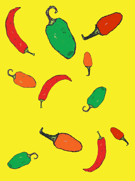 Chillies from Sarah Thompson-Engels