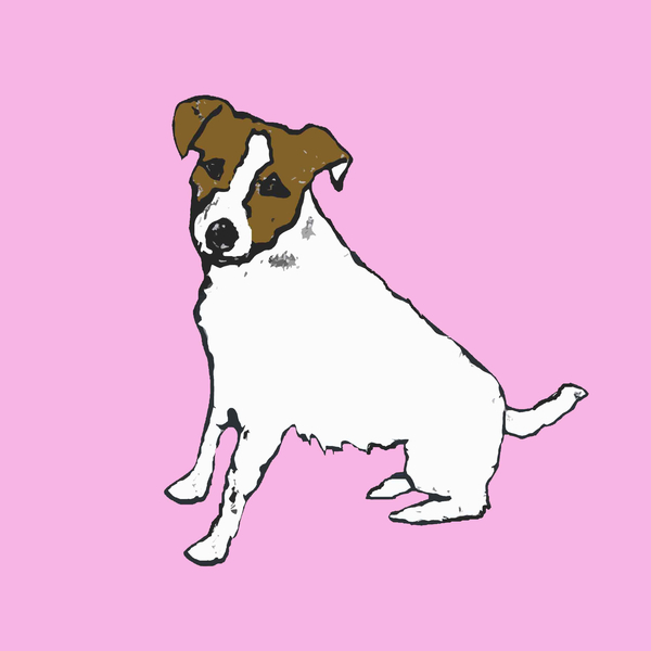 Jack russell from Sarah Thompson-Engels