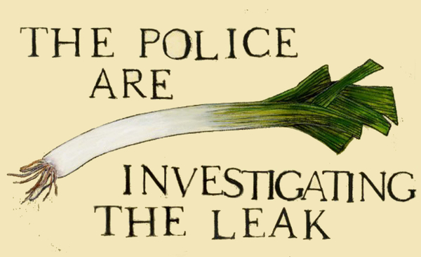 The police are investigating the leak from Sarah Thompson-Engels