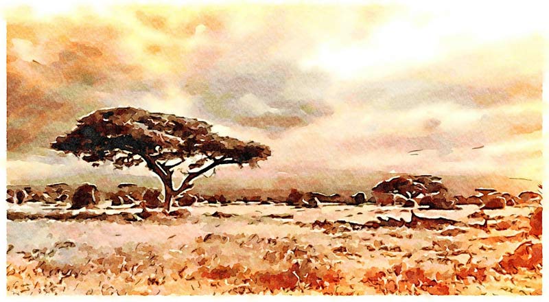 Afrikanische Landschaft from Saskia Ben Jemaa