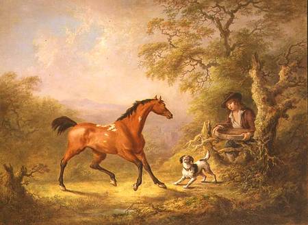 A Groom Feeding a Horse from Sawrey Gilpin