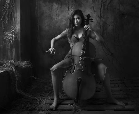 Der Cellist