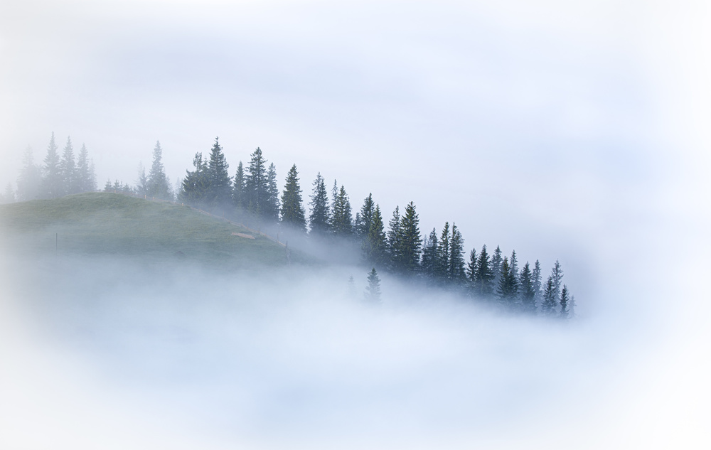 Im Nebel auflösen from Sergei Viktorov